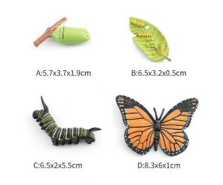 Obrázek z Figurky Motýl 4 vývojové fáze 8cm, set 4ks v krabičce 